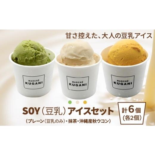 ふるさと納税 菓子 アイス 沖縄県 宜野湾市 SOY(豆乳)アイス 6個セット (プレーン(豆乳のみ)・抹茶・沖縄産秋ウコン) 3種類 各2個 | 沖縄ウコン堂 ソイアイス …