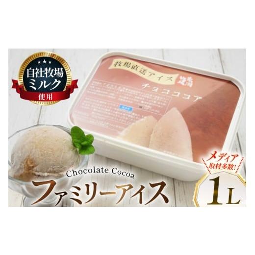 ふるさと納税 菓子 アイス 北海道 砂川市 テレビで紹介 アイス ジェラート チョコココア 1L ファミリーサイズ ジャンボサイズ 岩瀬牧場 北海道 砂川市 1226096…