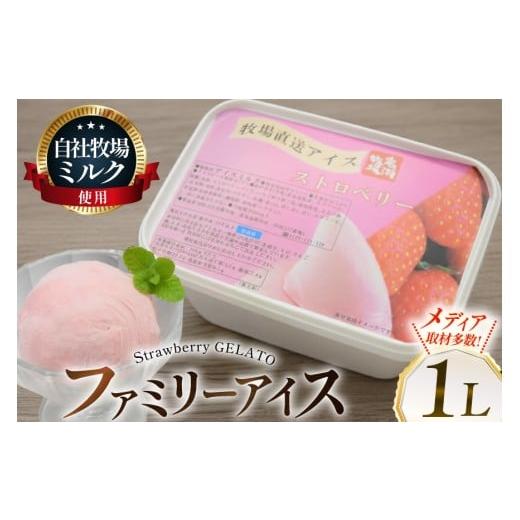 ふるさと納税 菓子 アイス 北海道 砂川市 テレビで紹介 アイス ジェラート ストロベリー 1L ファミリーサイズ 岩瀬牧場 北海道 砂川市 12260968 冷凍 アイスク…