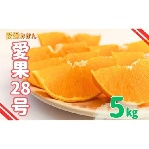 ふるさと納税 みかん・柑橘類 愛媛県 伊予市 みかん 愛媛 愛果28号 紅まどんなと同一品種 5kg 家庭用 人気 数量限定 先行予約 柑橘 伊予市 2026年11月下旬以降…