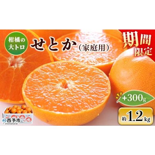 ふるさと納税 みかん・柑橘類 愛媛県 西予市 せとか(家庭用)約1.2kg+300g 自宅用 訳あり ワケアリ 果物 くだもの フルーツ ミカン みかん セトカ 蜜柑 高…