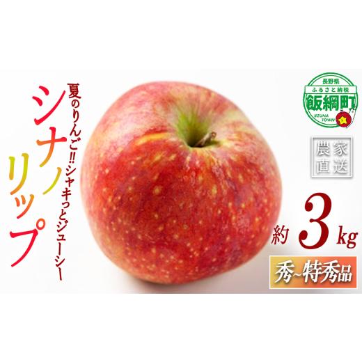 ふるさと納税 りんご 長野県 飯綱町 りんご シナノリップ 秀 〜 特秀 3kg ( 8 〜 11玉 ) サイズおまかせ 関果樹園もりんご 沖縄県への配送不可 2026年8月中旬…