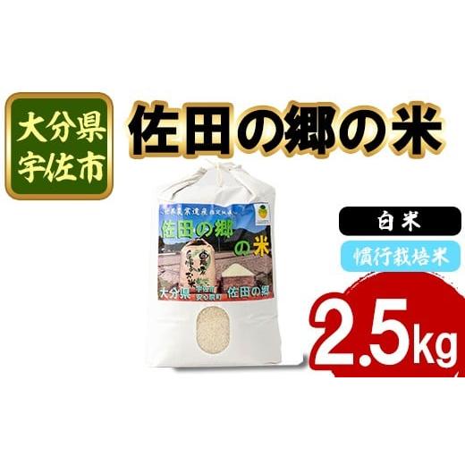 ふるさと納税 米 大分県 宇佐市 令和7年産 佐田の郷の米 慣行栽培米(2.5kg) お米 白米 ごはん ヒノヒカリ ひのひかり ブランド米 常温 常温保存 111701000 雅…