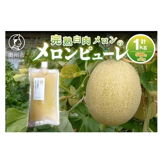 ふるさと納税 加工品等 岩手県 奥州市 完熟白肉メロンでつくったメロンピューレ 500g×2個 スパウトタイプ 果物 くだもの フルーツ 甘い 果肉 ジューシー デザ…