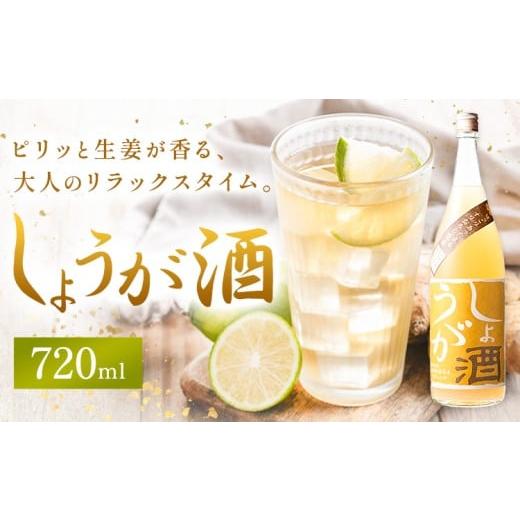 ふるさと納税 お酒 リキュール 和歌山県 岩出市 酒 しょうが酒 生姜 お酒 720ml 酒のねごろっく[2025年11月上旬-4月末頃に出荷予定(土日祝除く)]和歌山県 岩…