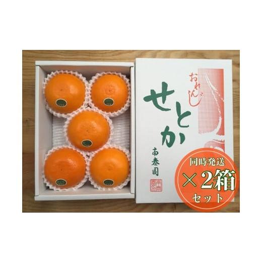 ふるさと納税 果物類 みかん 和歌山県 有田川町 [2箱セット]ハーフ 化粧箱 柑橘の大トロ ハウス せとか 厳選 5玉入 × 2箱 南泰園
