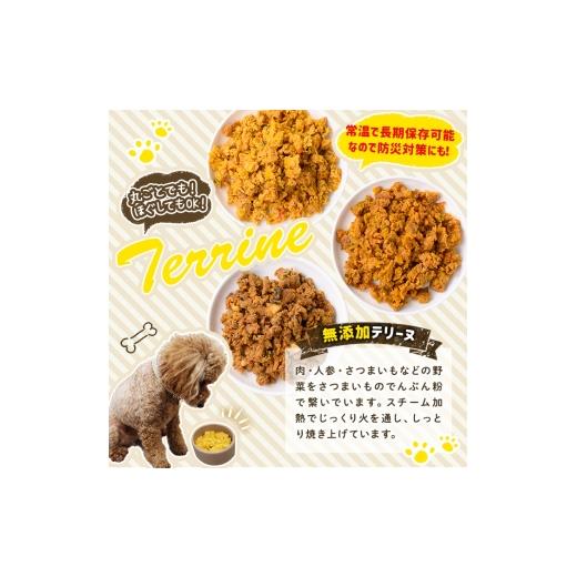 ふるさと納税 魚貝類 鹿児島県 姶良市 a1089-H 6回定期便 保存料・着色料 不使用 愛犬用無添加テリーヌ レトルトパック 魚テリーヌ6袋×6回(1袋約100g・合計約…の画像