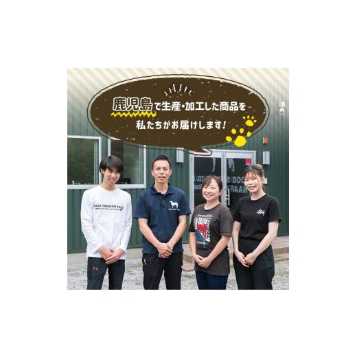 ふるさと納税 魚貝類 鹿児島県 姶良市 a1089-H 6回定期便 保存料・着色料 不使用 愛犬用無添加テリーヌ レトルトパック 魚テリーヌ6袋×6回(1袋約100g・合計約…の画像