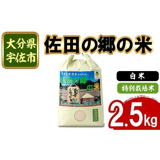 ふるさと納税 米 大分県 宇佐市 令和7年産 佐田の郷の米 特別栽培米(2.5kg)お米 白米 ごはん ヒノヒカリ ひのひかり ブランド米 常温 常温保存 111701100 雅…