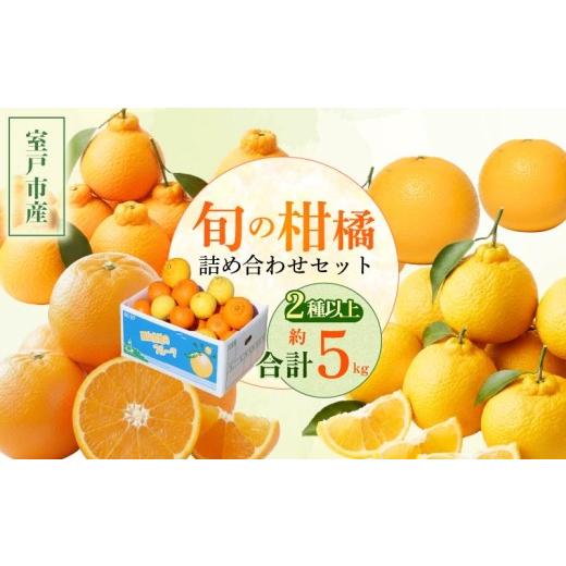ふるさと納税 果物の詰合せ 高知県 室戸市 柑橘 詰め合わせ 5kg 訳あり 旬 食べ比べ 2種以上 セット ミカン みかん 蜜柑 ポンカン ぽんかん せとか デコポン …