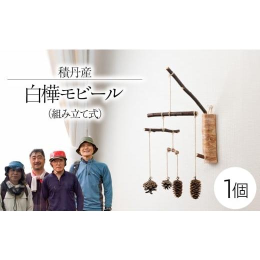 ふるさと納税 雑貨・日用品 北海道 積丹町 白樺モビール ×1