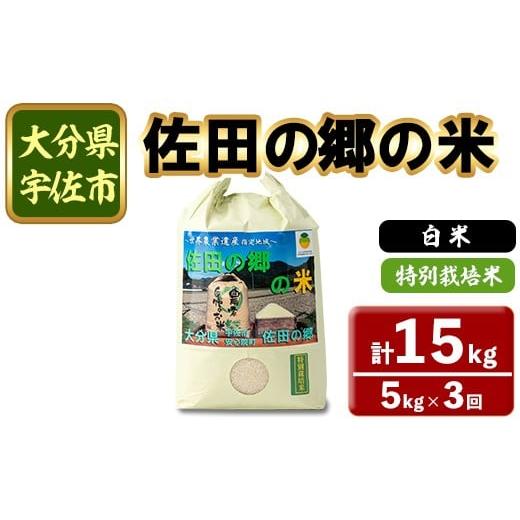 ふるさと納税 米 大分県 宇佐市 定期便・総3回 令和7年産 佐田の郷の米 特別栽培米(計15kg)お米 白米 ごはん ヒノヒカリ ひのひかり ブランド米 常温 常温保…