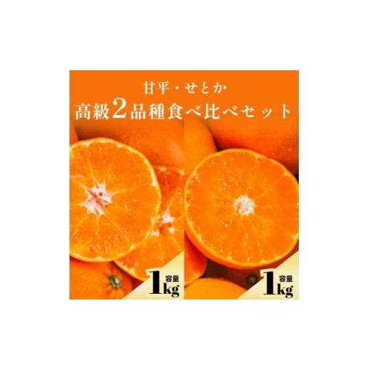 ふるさと納税 みかん・柑橘類 愛媛県 八幡浜市 愛媛人気2品種食べ比べ せとか + 甘平 各1kg C70-169 1713319