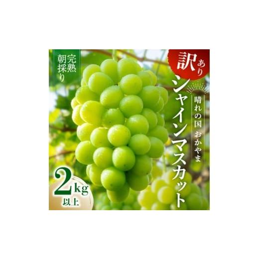 ふるさと納税 ぶどう 岡山県 新庄村 2026年発送 完熟朝採り 訳あり シャインマスカット 2.0kg以上 1710152