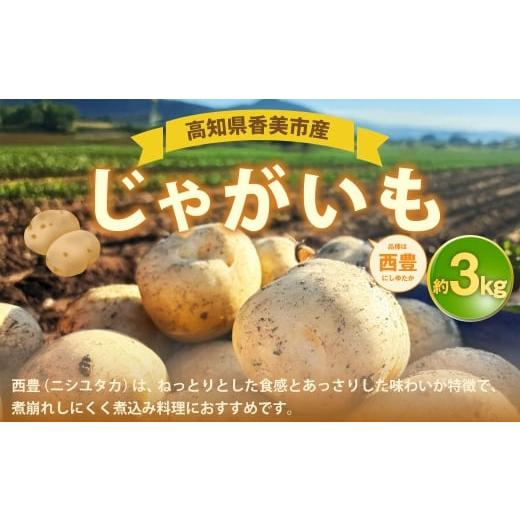 ふるさと納税 野菜類 じゃがいも 高知県 香美市 じゃがいも ( 西豊 ) 約3kg 野菜 やさい ジャガイモ いも イモ 芋