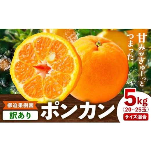 ふるさと納税 果物類 みかん 熊本県 津奈木町 訳あり ポンカン 5kg 20-25玉 サイズ混合[2月中旬-3月中旬出荷予定(土日祝除く)]熊本県 葦北郡 津奈木町 ポン…