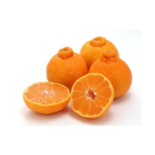 ふるさと納税 みかん・柑橘類 デコポン 和歌山県 上富田町 家庭用 森本農園の手選別 不知火 約2kg 和歌山県産 サイズ混合[北海道・沖縄・離島配送不可][RN1…