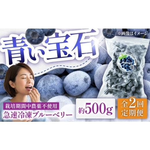 ふるさと納税 果物類 熊本県 菊陽町 全2回定期便 青い宝石 国産 急速冷凍ブルーベリー 約500g 果物 くだもの フルーツ ぶるーべりー 熊本県 菊陽町 アグファ…