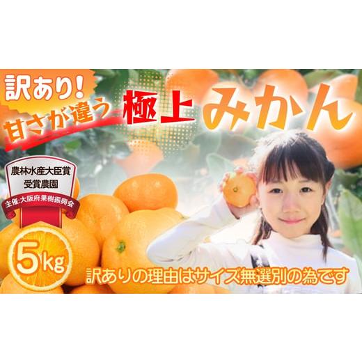 ふるさと納税 果物類 みかん 大阪府 河内長野市 先行予約 2026年11月下旬より発送 訳あり 甘さが違う極上みかん 5kg 高糖度 甘い みかん 柑橘 フルーツ 家庭用…