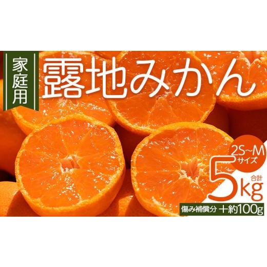 ふるさと納税 果物類 みかん 高知県 香南市 5kg 露地みかん:5kg (傷み補償分 +約100g) 家庭用 先行受付 10月下旬〜12月下旬予定 先行予約 柑橘 みかん 先…