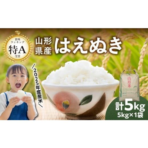 ふるさと納税 米 はえぬき 山形県 大江町 山形県産 はえぬき 5kg 2025年度産米 065-001