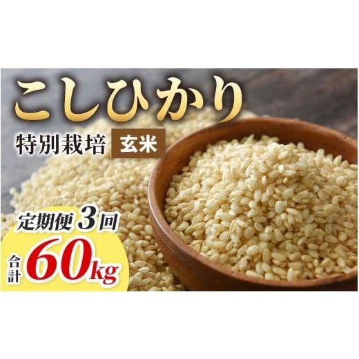 ふるさと納税 米 コシヒカリ 福井県 大野市 令和7年産 3ヶ月定期便 こしひかり 20kg × 3回 計 60kg 玄米 減農薬・減化学肥料 「特別栽培米」−地球にやさし…
