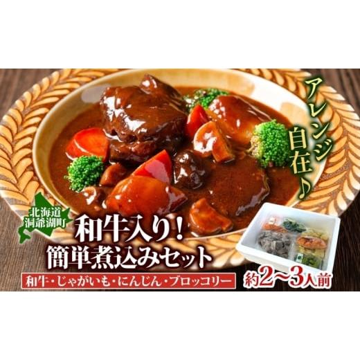 ふるさと納税 セット・詰合せ 北海道 洞爺湖町 和牛入り 簡単煮込み セット 約2〜3人前 和牛 水煮 冷凍野菜 野菜 じゃがいも にんじん ブロッコリー ポトフ カ…
