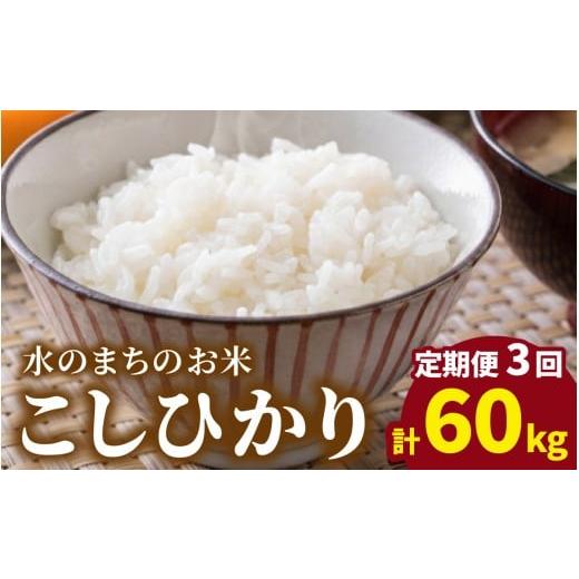 ふるさと納税 米 コシヒカリ 福井県 大野市 令和7年産 3ヶ月定期便 こしひかり 20kg×3回 計60kg(白米)「エコファーマー米」−水のまちのお米−