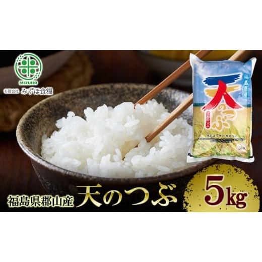 ふるさと納税 米 福島県 郡山市 令和7年産 福島県郡山産 天のつぶ 5kg 精米 米 お米 白米 単一原料米 5キロ こめ コメ おこめ ご飯 ライス 福島県 郡山市産