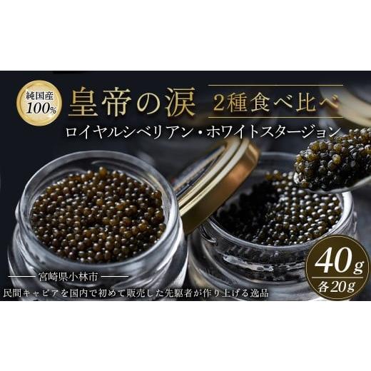 ふるさと納税 魚貝類 キャビア 宮崎県 小林市 皇帝の涙2種食べ比べ(ロイヤルシベリアン・ホワイトスタージョン)国産チョウザメキャビア