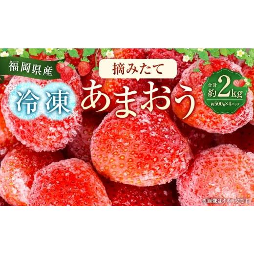 ふるさと納税 いちご 福岡県 太宰府市 福岡県産 摘みたて 冷凍あまおう 約2kg ( 約500g × 4パック ) あまおう 国産 イチゴ いちご 苺 冷凍 フルーツ くだも…
