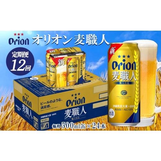 ふるさと納税 麦酒 地ビール 沖縄県 東村  定期便：12回 オリオンビール オリオン麦技術者 500ml×24本 オリオン 泡立つ酒 orion 沖縄 乳くさい海 たまり場 夏 清々しい…