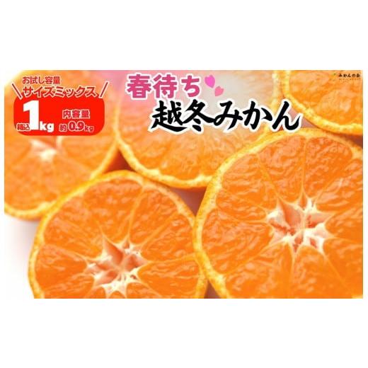 ふるさと納税 果物類 みかん 和歌山県 有田川町 みかん 春待ち 越冬みかん 箱込1kg(内容量0.9kg) 等級/サイズミックス 和歌山県産 産地直送 箱込1kg(内容量0.…