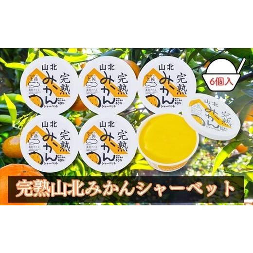 ふるさと納税 アイス・ヨーグルト シャーベット 高知県 いの町 Made in 土佐 完熟山北みかんシャーベット6個(高知アイス)