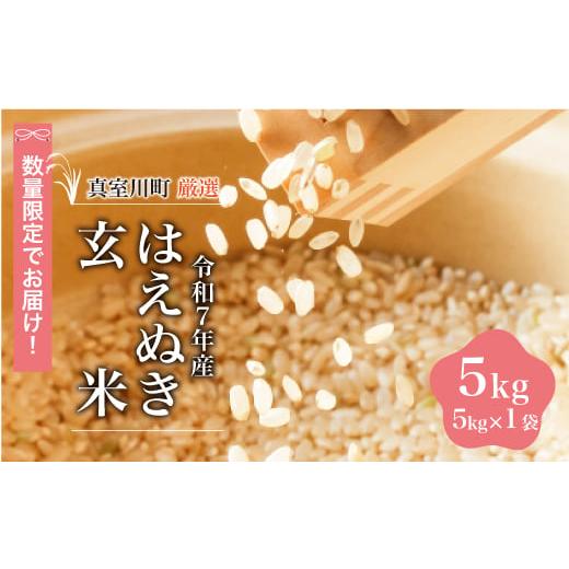 ふるさと納税 玄米 山形県 真室川町 数量限定 令和7年産 はえぬき 玄米 5kg (5kg×1袋) 配送時期指定可 真室川町