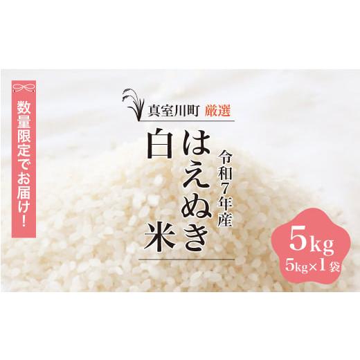 ふるさと納税 米 はえぬき 山形県 真室川町 数量限定 令和7年産 はえぬき 白米 5kg (5kg×1袋) 配送時期指定可 真室川町