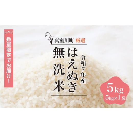 ふるさと納税 無洗米 山形県 真室川町 数量限定 令和7年産 はえぬき 無洗米 5kg (5kg×1袋) 配送時期指定可 真室川町