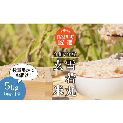 ふるさと納税 玄米 山形県 真室川町 数量限定 令和7年産 雪若丸 玄米 5kg (5kg×1袋) 配送時期指定可 真室川町