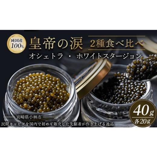 ふるさと納税 魚貝類 キャビア 宮崎県 小林市 皇帝の涙2種食べ比べ(オシェトラ・ホワイトスタージョン)国産チョウザメキャビア
