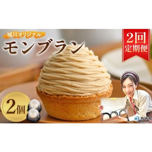 ふるさと納税 ケーキ・カステラ モンブラン 愛媛県 西予市 城川オリジナルモンブラン 2個入り 2回定期便 栗 スイーツ マロン 洋菓子 おかし ケーキ くり お試…
