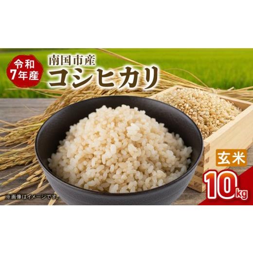 ふるさと納税 玄米 高知県 南国市 令和7年度 南国市産 コシヒカリ 玄米 10kg | 数量限定 米 コメ お米 ご飯 おにぎり こめ キロ 弁当 高知県 南国市 コシヒカ…