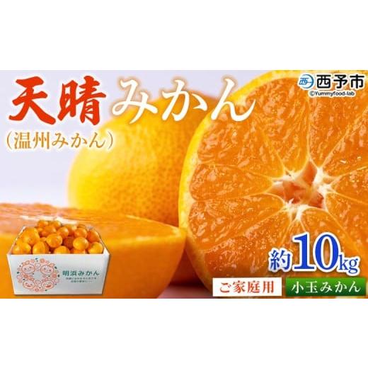 ふるさと納税 果物類 みかん 愛媛県 西予市 愛媛県明浜産 天晴みかん(温州みかん)約10kg 小玉サイズ 家庭用 訳あり ワケアリ 果物 くだもの フルーツ ミカ…