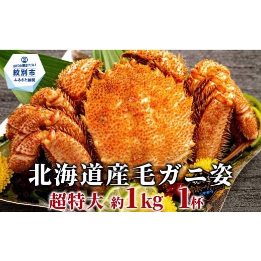 ふるさと納税 カニ 毛ガニ 北海道 紋別市 29-29 超特大 北海道産毛ガニ 約1kg×1杯