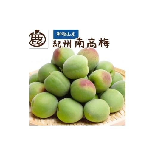 ふるさと納税 果物類 和歌山県 高野町 厳選 紀州南高梅(青梅)1kg+250g(傷み補償分) 梅干し・梅酒・梅ジュース 
