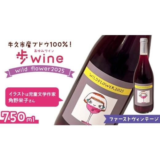 ふるさと納税 ワイン 赤ワイン 茨城県 牛久市 歩wine wild flower2025 ( 750ml ) 日本ワイン 牛久市 ブドウ 自然派ワイン 無濾過 ファーストヴィンテージ マス…