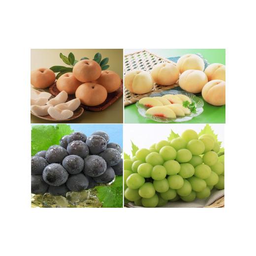 ふるさと納税 ぶどう マスカット 岡山県 和気町 環-17 先行予約 岡山県産 旬のくだもの定期便 3回