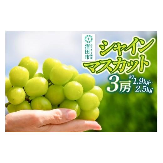 ふるさと納税 果物類 ぶどう 群馬県 沼田市 9月中旬から10月末に発送 シャインマスカット 3房(計約1.9kg〜2.5kg) 糖度18度以上 種なし 皮ごと食べられる 濃…