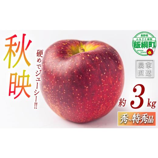 ふるさと納税 りんご 長野県 飯綱町 りんご 秋映 あきばえ 秀 〜 特秀 3kg ( 8 〜 11玉 ) サイズおまかせ 関果樹園もりんご 沖縄県への配送不可 2026年9月下旬…