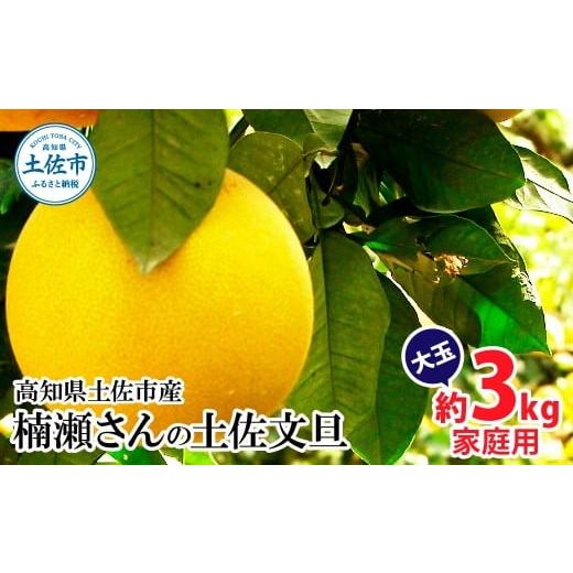 ふるさと納税 みかん・柑橘類 高知県 土佐市 楠瀬さんの土佐文旦 家庭用大玉 約3kg 約3キロ 4L〜2L ぶんたん ブンタン フルーツ 柑橘 みかん 果物 くだもの 柑…