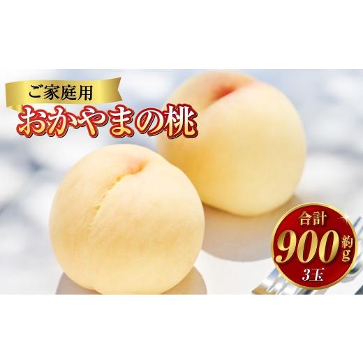 ふるさと納税 もも 岡山県 倉敷市 [ご家庭用] おかやまの桃(大玉)3玉 (合計約900g) もも 桃 岡山県産 国産 フルーツ スイーツ 大玉 果肉 美味しい 甘い …